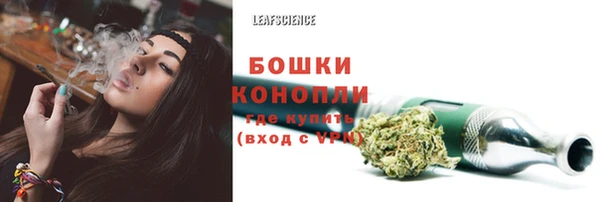 ПСИЛОЦИБИНОВЫЕ ГРИБЫ Апатиты