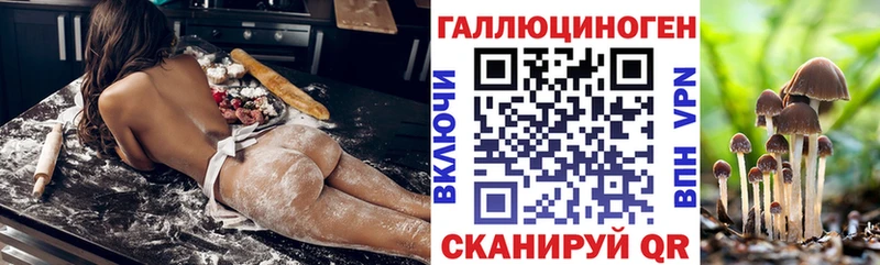 кракен как зайти  Осинники  Галлюциногенные грибы Psilocybine cubensis 